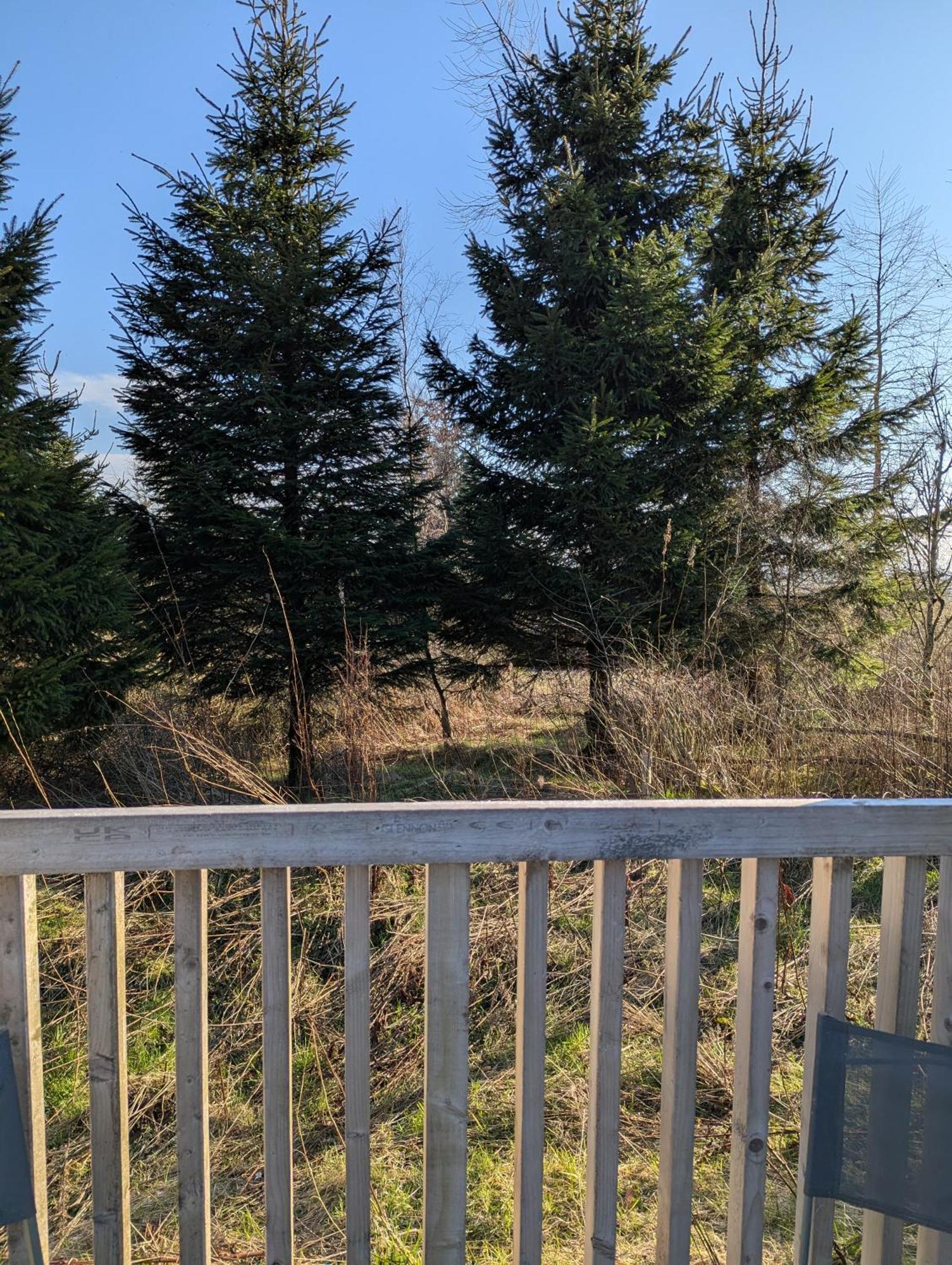 Blair Snug Hut Apartment Kelty ภายนอก รูปภาพ